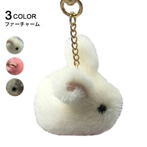 || L[z_[ L[`[ X}z`[  t Xgbvt  ӂӂ v[g ~V