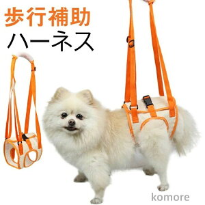  hbOn[lX 둫 ⏕  n[lX Ck s⏕  xg V pn[lX nr p