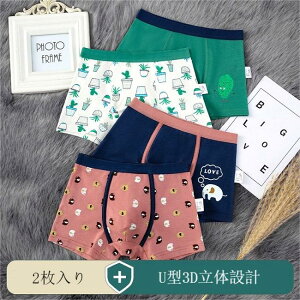 gXt[ {NT[u[t Rۑf {[CY j 2Zbg  Ci[pc Xgb` V[c u[t WjA