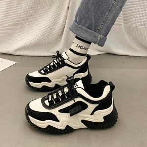  R Nc Sc  fB[X C nCeNXj[  ^  n F I JWA oCJ[ V[Y