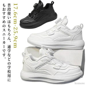 zWjA w X|[c ^C ʊw w ̎q j̎q _炩 y ʉ _C h Xj[J[ LbY