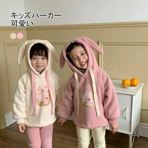 vI[o[ Vv h [EFA g  u  _炩 H~ ۈ牀 ʊw ʉ JWA Mtg