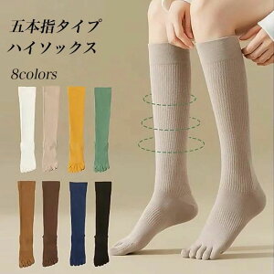 nC  z ȍ n Rbg\bNX ܖ{wC Xgb` \bNX ~ H K ꒵ X|[c\bNX ~