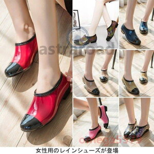  pvX J p C ~ hV[Y JC Cu[c fB[X CV[Y