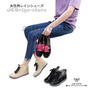 ~J C y` IV V[Y CEFA p J ؂ Xj[J[ JC Cu[c fB[X [Y