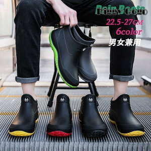 V[g C Sh h ~ ~J u[c Y fB[X jp Xj[J[ Cu[c o[V[Y ʋ