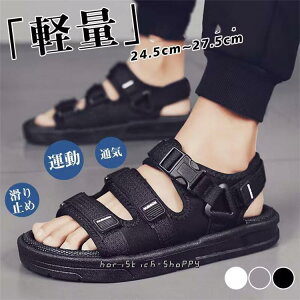 Y r[`T_ X|[cT_ ʋC y ~  amp ^ j C C  ނ EH[^[V[Y