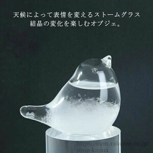 CeA Cۗ\ Ђ悱 VC\{g IuWF  e|hbv Xg[OX VC{g