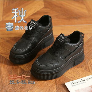 X|[cV[Y V[Y ~ r r ₷ Ȃ ɂȂ Vv ʋ ʊw  2023V