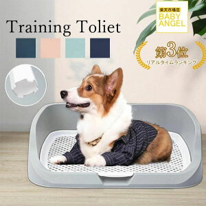 gC gCg[ Ch  قƂ΂h~ pgC ybgp g[jOgC