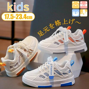 C ₷ _炩 y Sn ANAV[Y @ʉ ʊw WjA LbYW[X17/18/19/20/21/22/23