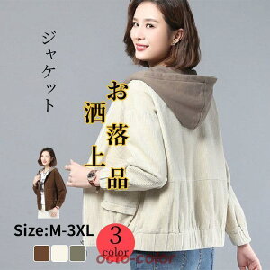 Pbg AE^[ R[fC R[g  tH H ̎q H~  JWA u] fB[X CN F؂ւ