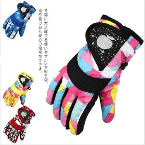 XL[ Xm[O[u h h ~p 3-7 g EC^[O[u  Ԃ Xm[  V ʉ ʊw