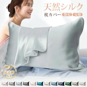 p VRVNf    ܂Jo[ h ȒP   hV̓ Mtg v[g ^In