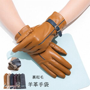 O[u ㎿ U[ p ޏ X}z fB[X  h ʋ Mtg v[g hV̓  H~