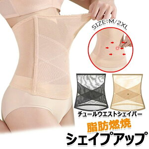 RZbg т AEGXgVFCp[ xg ␳   сA p  Y F2Zbg 