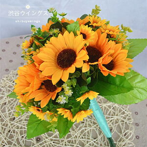 Ђ܂ EFfBOu[P  uC_u[P ԉ u[P  Nb` u[P 񎟉  EFfBOp