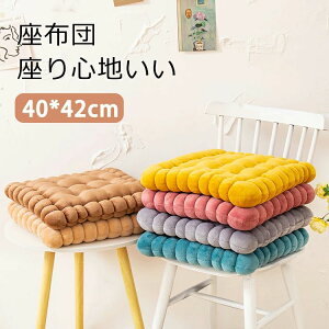 40*42cm@n@Sn@̈U@a@m@@@v[g@Vzj