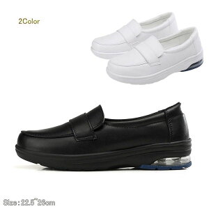 ƌC wlC ʋC ΍ y Ռz  ܎t ×p d C Xj[J[ 22.5cm~26cm zCg/ubN