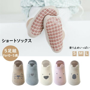 xr[ AN\bNX C 5g Ԃ j̎q ̎q \bNX  ~ߕt Zbg c C xr[ V[g\