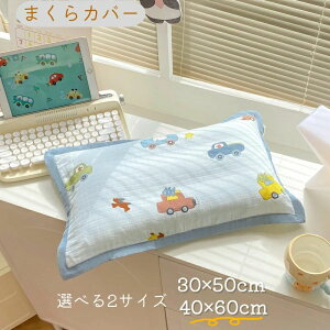 Pi LbYp ܂Jo[ K[[ 100 LbY WjA dl 30×50cm 40×60cm S9 V[g xr[ ܂ Jo