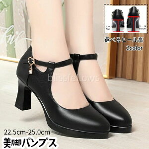 ANXgbv |CebhgD Zp[g@L@nCq[ pvX  q[ ₷ 傫TCY pvX