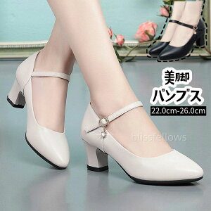 ANXgbv pvX|CebhgD Zp[g@L@nCq[ pvX q[ ₷ 傫TCY p