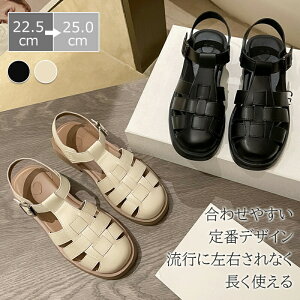 XV[Y ʋ ʊw AEghA ItBX Ȃ ₷ ɂȂ ₷ IV r ~ ʋC  