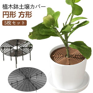 【5枚セット】植木鉢グリッド 観葉植物 いたずら防止 植物 プロテクターキャット 犬 土壌グリッドカバー 3サイズ ABSプラスチッ
