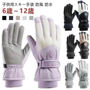 5{w N Xm{ q  fB[X X}zΉ XL[O[u Xm[O[u h h  XL[ XL[ X