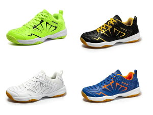 싅V[Y Y oh~gV[Y fB[X ̈كV[Y WjA g[jOV[Y l yʃf Xj