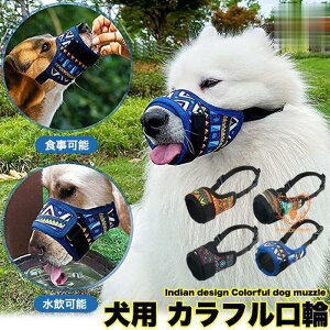   }Y CfBA ̌ ʖi ݂ }XN ^ ^ ^