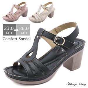  Ȃ ₷ ₷  IV  r ~ ɂ ʋC t  ubN sN x[W