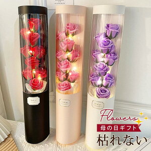 ԑ  ͂Ȃ o [Y u[P Ό j  o^C ̓ j ʉ  w a v[g