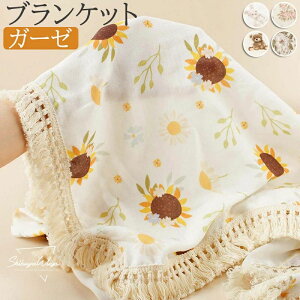 Pbg t H  V Ԃ Q oY oYj K[[Pbg  Ђ| G| xr[  Rbg [΍