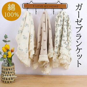 Pbg t H  V Ԃ Q oY oYj K[[Pbg  Ђ| G| xr[  Rbg [΍