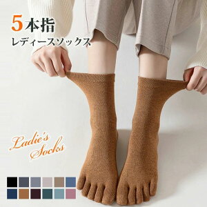  3Zbg jO\bNX C V[g\bNX fB[X p 5{w \bNX ܖ{w X|[c\bNX 