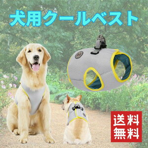 ⊴n[lX  ⊴ N[ n[lX ^ ^ ^ ėp xXg  ڐG⊴ p ^ c q V 