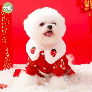  ybg  X[c Lߑ hJ R[g VNybg ~p  Be ʐ^ 킢 g h U o| l