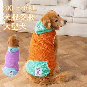 ~ hbOEFA ^ p[J[ S[f uh[ go[ RR  IV  ۉ 