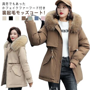 bYR[g {A fB[X ~fBA t@[t[ht ~ N h JWA ӂӂ  tFCNt@[