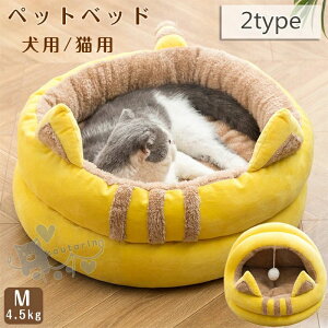 ybgxbh Lp Lxbh xbh g ~ ۉh  Q Lpi ybgnEX ӂӂ ~p lG LnEX h