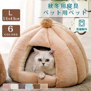 ybgnEX ybgxbh lR L h[^ ^ Lxbh ˂ nEX ~ L̃xbhg q ^ xbh h[^