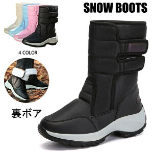 V h h [gu[c hu[c kC u[c h {A Ȃ kC ~C fB[X O Xm[u[c