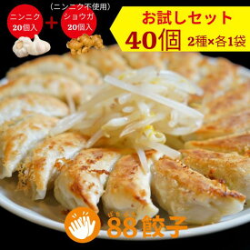 【88ぱちぱち餃子お試しセット】 40個 にんにくあり20個 にんにくなし20個 冷凍餃子 焼き餃子 水餃子 おかず おつまみ 餃子 国産材料 ぎょうざ 中華 大将 食べ比べ お取り寄せ 浜松餃子 はままつ餃子