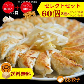 【88ぱちぱち餃子セレクトセット】 60個 にんにくあり20個×2 にんにくなし20個 冷凍餃子 焼き餃子 水餃子 おかず おつまみ 餃子 国産材料 ぎょうざ 中華 大将 食べ比べ お取り寄せ 大人気セット 浜松餃子 はままつ餃子