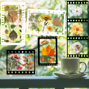 �~�j �K���X�X�e�b�J�[ �Ód�C ��S�� �K���X�t�B���� ���� �ʐ^�t�B���� ���� �� �A�� �{�^�j�J�� �ǃV�[�� �ǃf�R �k���� DIY ���r���O