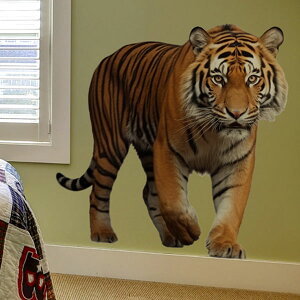 EH[XebJ[  ^CK[ ͂ zCg^CK[ A[g ǃfR k DIY N rO Q