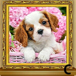  t _ChA[g _ChhJ Lbg r[YhJ  zCgeA ybg q UCNA[g nr  G J[r[Y nhCh