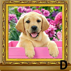 初級 フル ダイヤモンドアート ダイヤモンド刺繍 キット ビーズ刺繍 白い犬 ホワイトテリア ペット 子犬 モザイクアート リハビリ 趣味 絵画 カラービーズ ハンドメイド